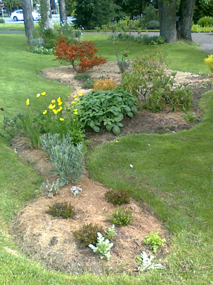 spring_garden_sm