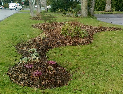 updated_garden_sm